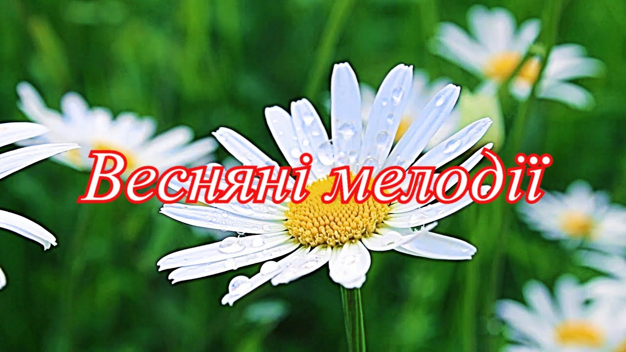 Весняні мелодії.  Мелодии весны.  Spring melodies.