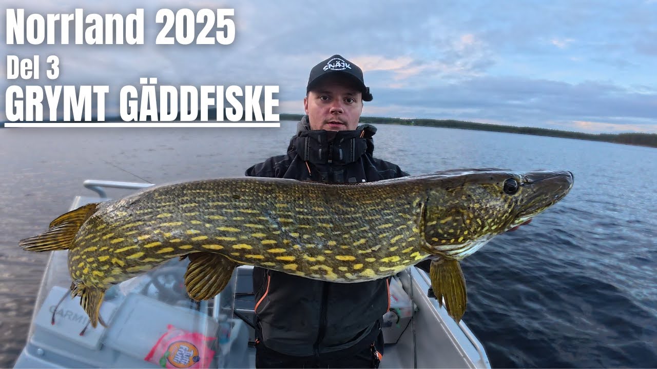 Norrland 2025 Del 3 - GRYMT GÄDDFISKE