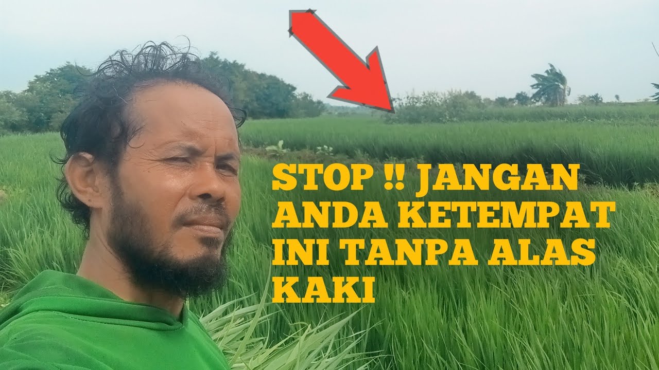 Stop ! Jangan anda datang ke tempat ini tanpa alas kaki. 