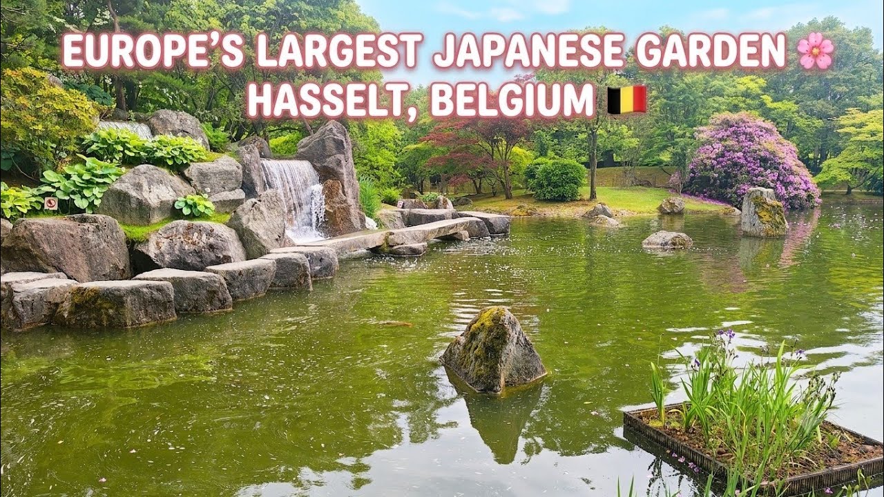 Escape to Japan... in Belgium! 🌸 Hasselt Japanese Garden