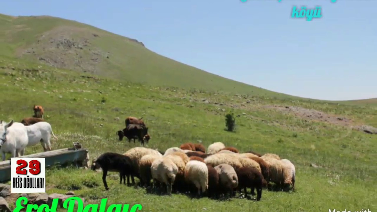 Gümüşhane duymadık köyü