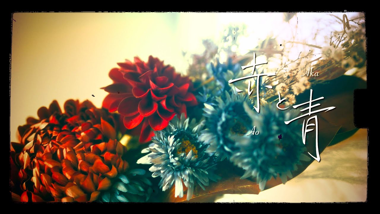 赤と青 / Red and Blue - ROTH BART BARON (Official Video)