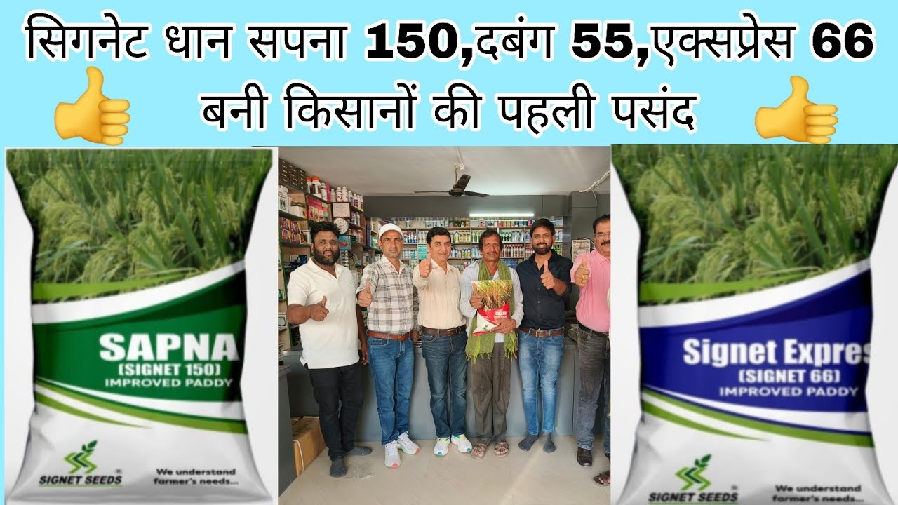 सिगनेट धान सपना 150,दबंग 55,एक्सप्रेस 66,बुलंद 5050 धान के बीजों ने छत्तीसगढ़ में किया धमाल 👍