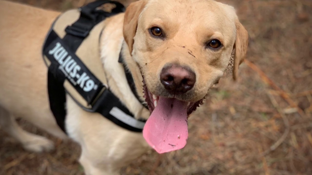 An Afternoon In Fritton