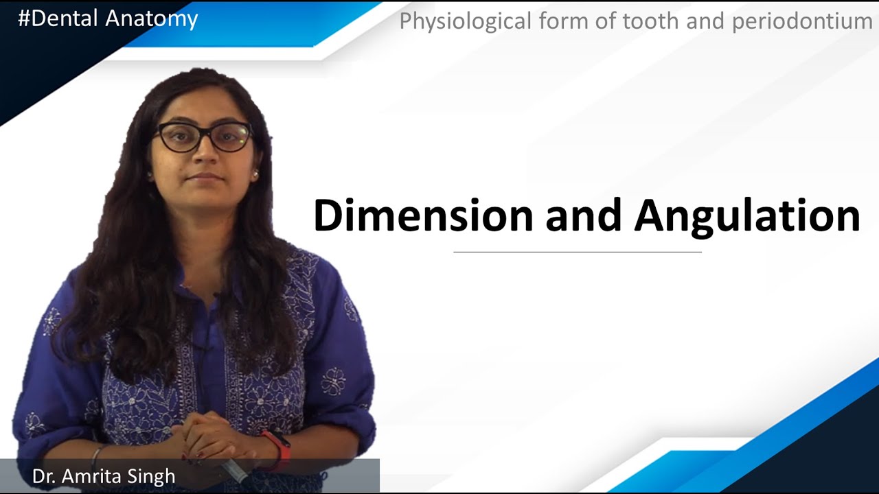 Dental Anatomy - Physiological form of tooth and periodontium - Dimension and Angulation | NEET MDS