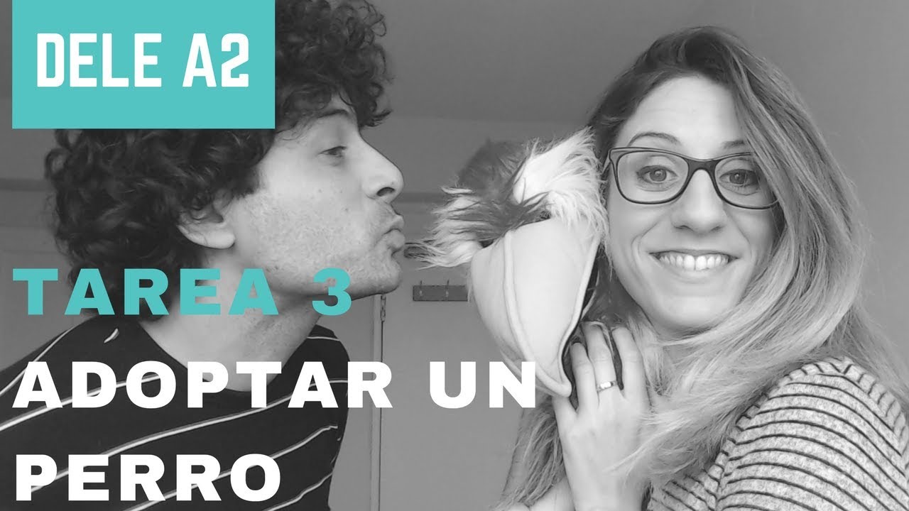 DELE A2|Tarea 3|Adoptar un perro