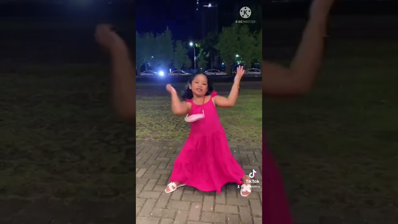 Zoom dance challenge by twin sisters