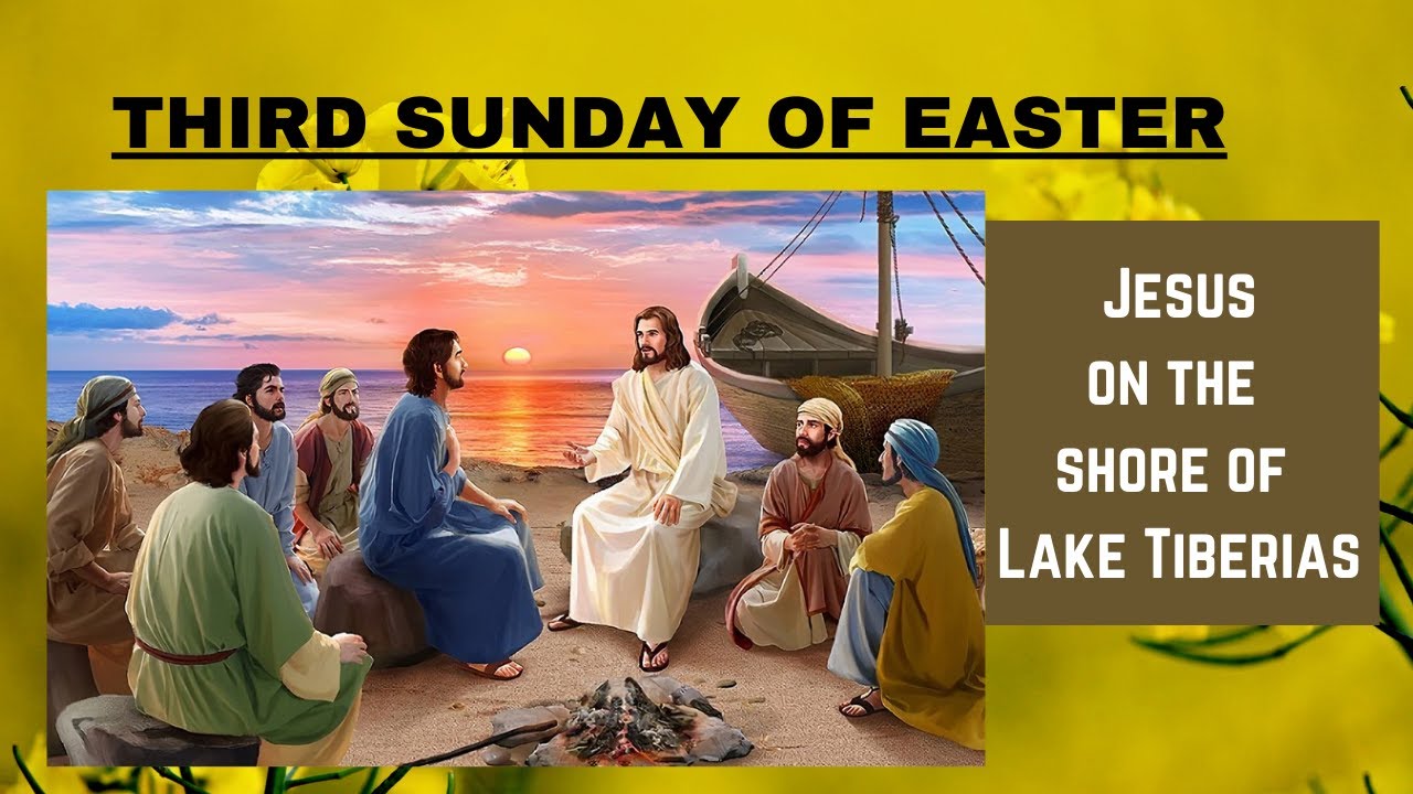 Homily for the Third Sunday of Easter year C ◼️ 01/05/2022