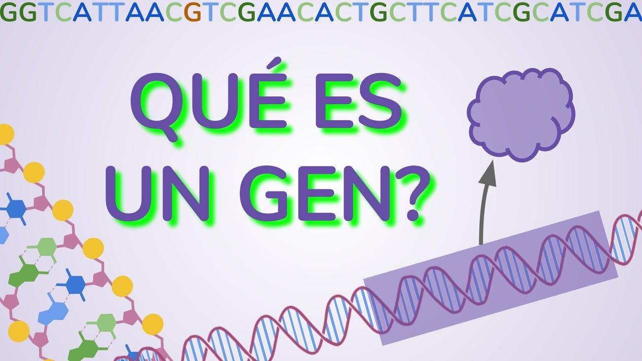 ¿Qué es un GEN?