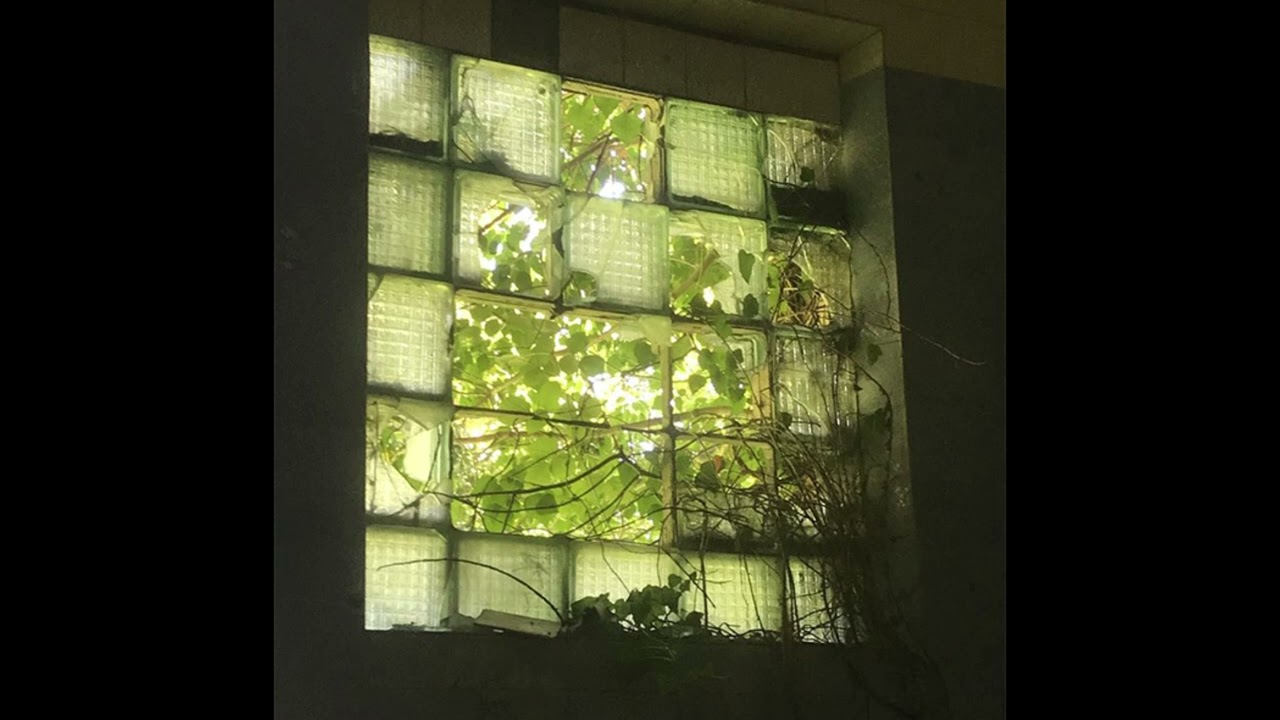 [free for profit] indie rock x bedroom pop type beat - 