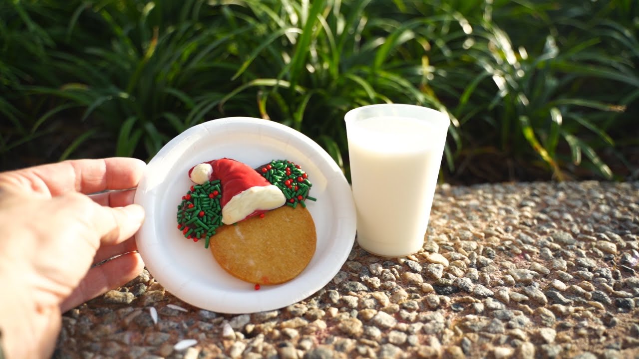 New Years Eve Prep At Epcot And Completing The Holiday Cookie Stroll!