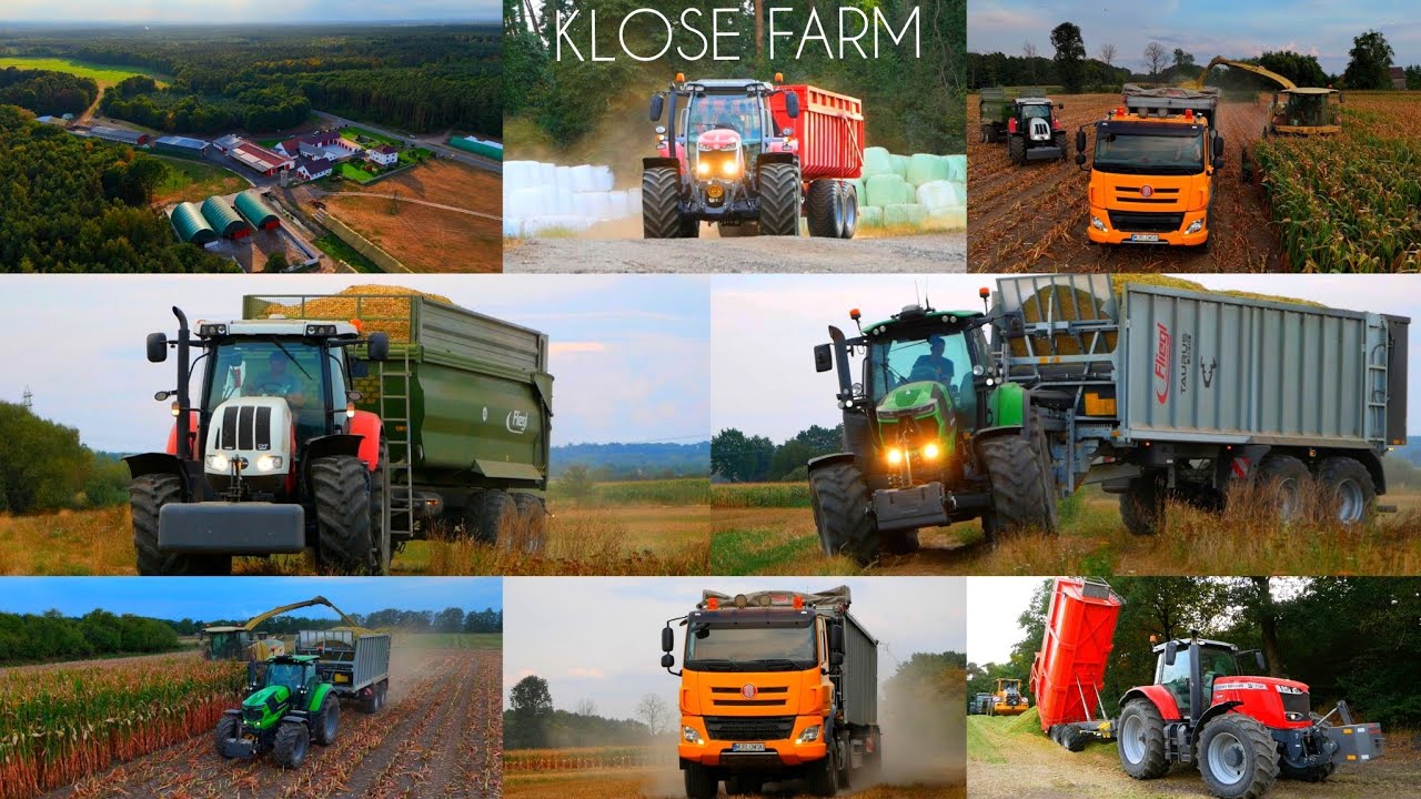 Kiszonka z 70Ha | Krone BigX680 | Klose Farm