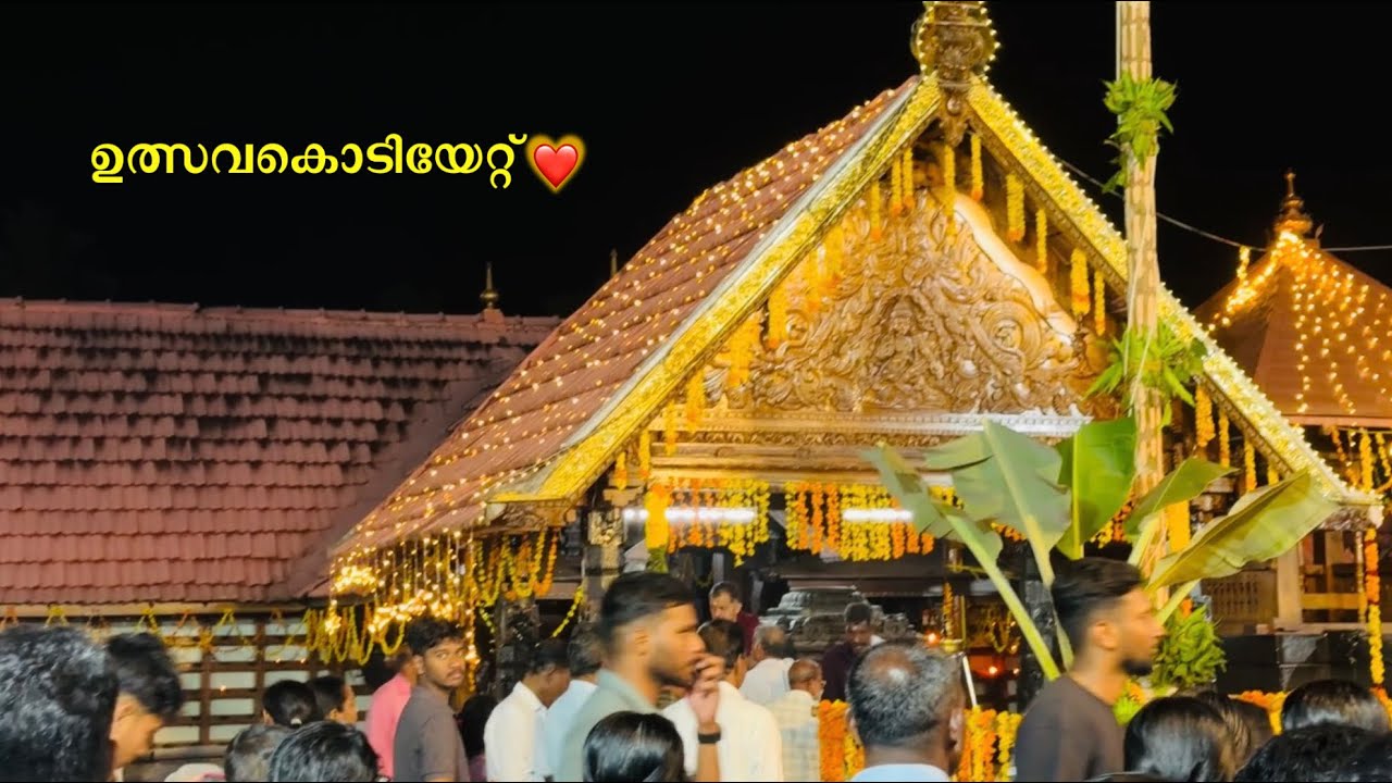 ഉത്സവകൊടിയേറ്റ് ❤️  Vlog 9🥰