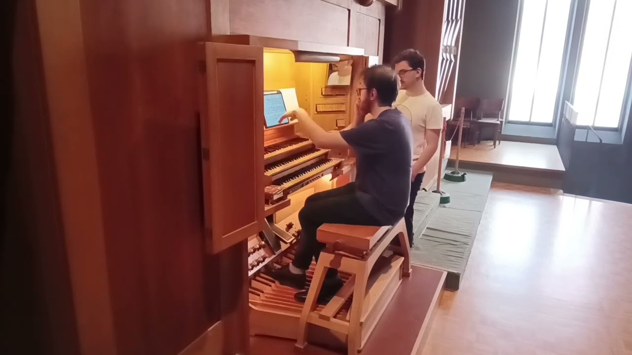 A. G. Ritter - Orgelsonate n. 2 e-Moll, op. 19 (Ismaele Gatti)