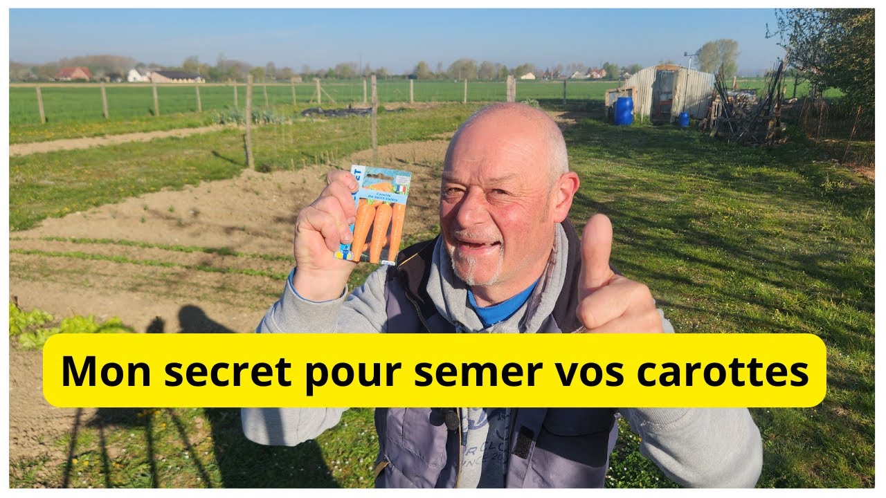 Quel est le secret pour semer vos carottes mi-avri