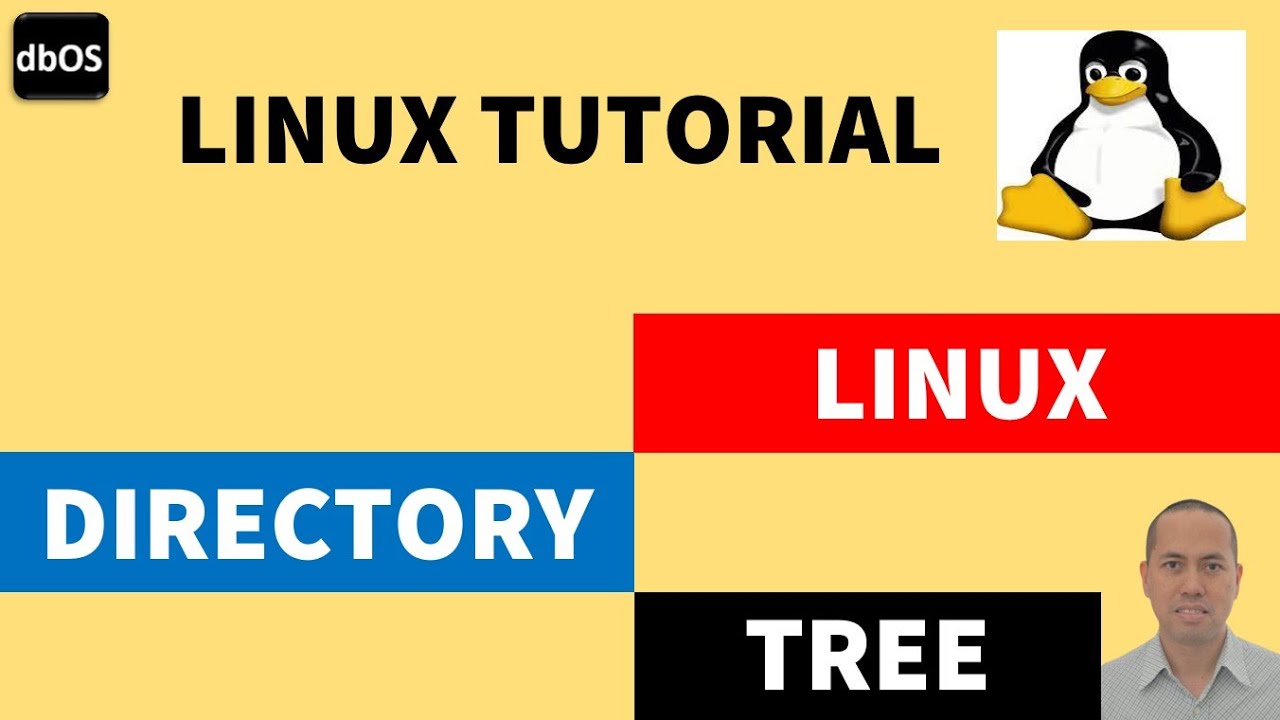 Linux directory tree