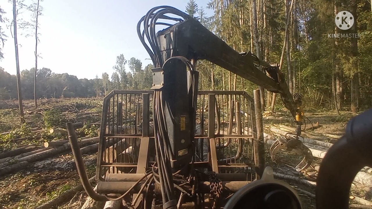 грузим спички /palms 700