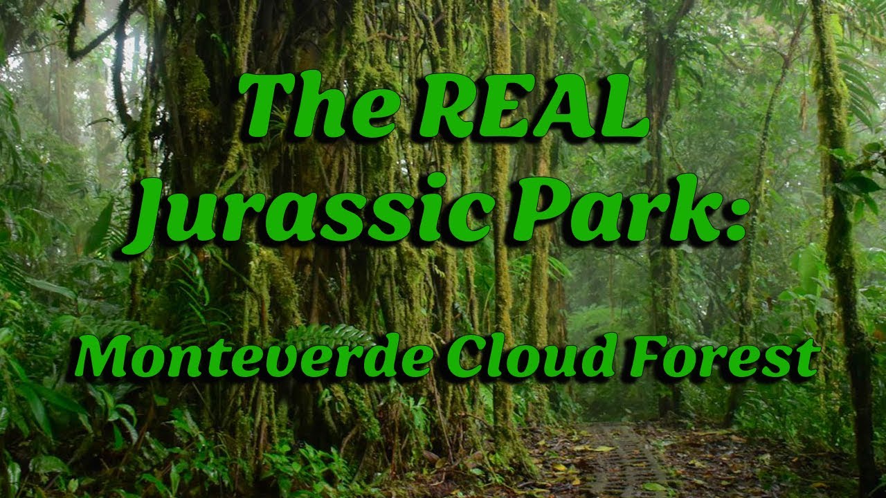 MONTEVERDE CLOUD FOREST - Exploring The Real Jurassic Park