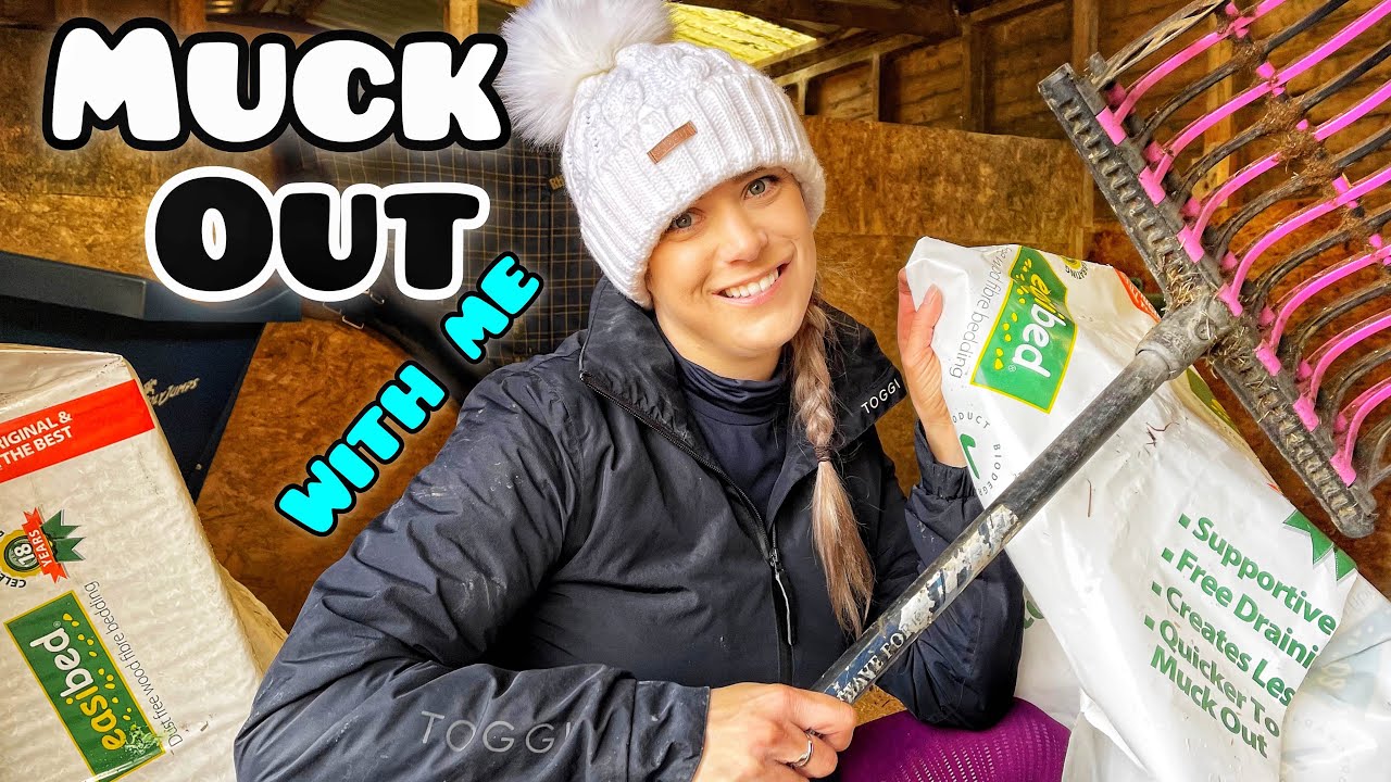 MUCK OUT MY STABLES WITH ME | Trying something I have never tried before...