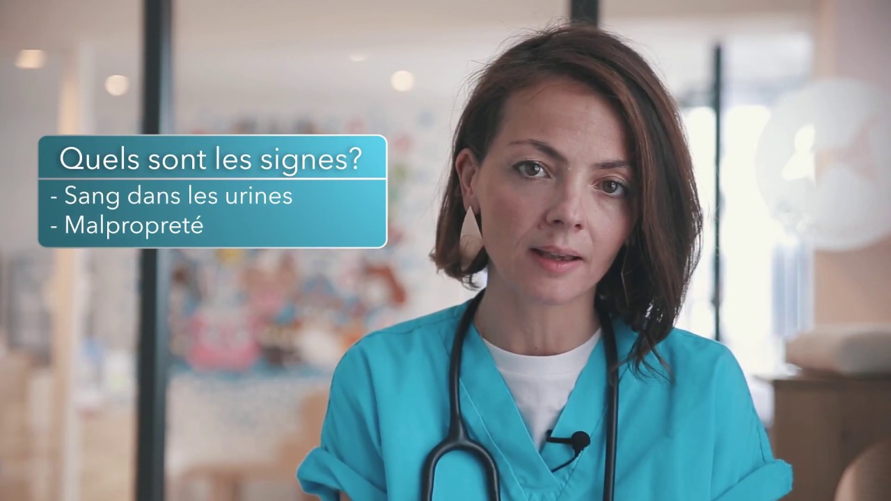 Les urgences urinaires chez le chat
