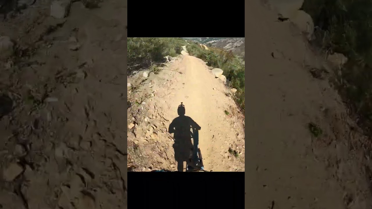 First run down rabbits leap.