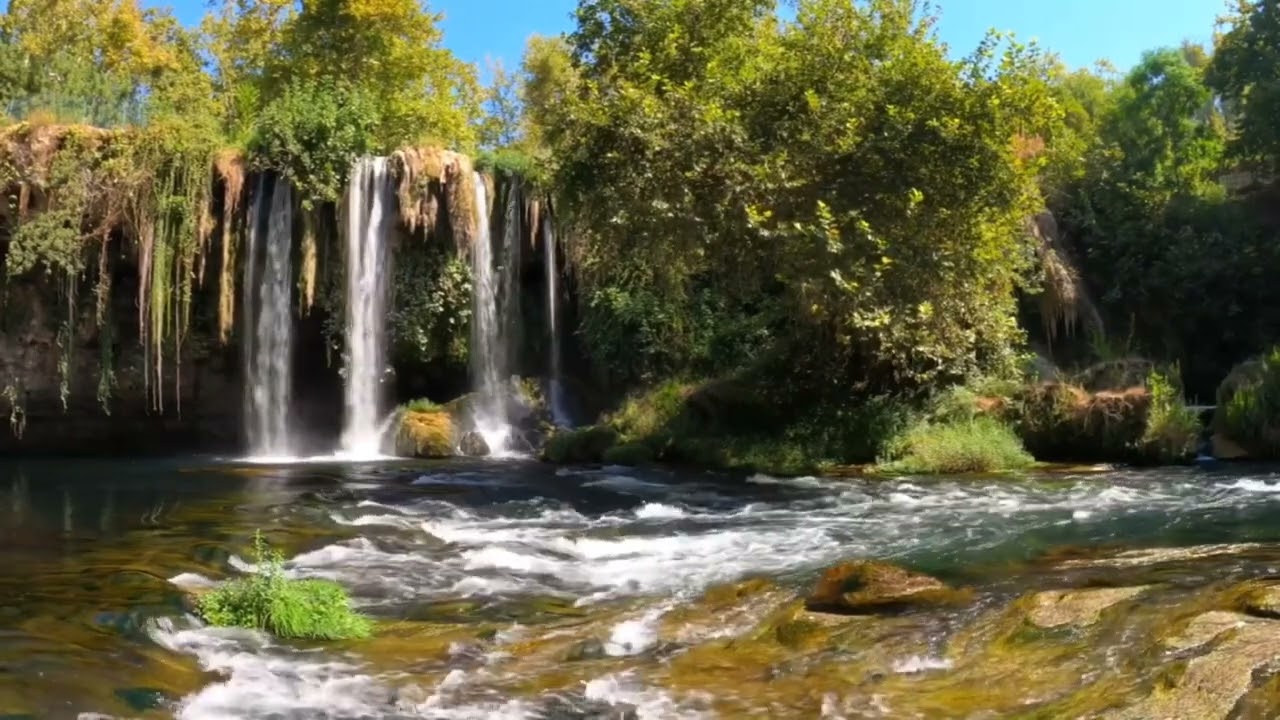 Beautiful Nature Video No Copyright Video -- Free Stock Footage #NatureBeauty