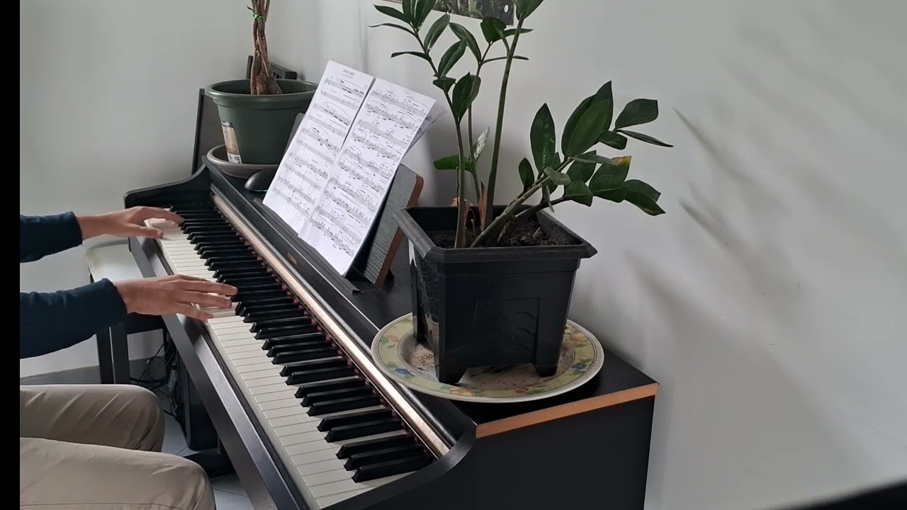 John Powell - Assassin's Tango (Mr & Mrs Smith) - Piano Cover