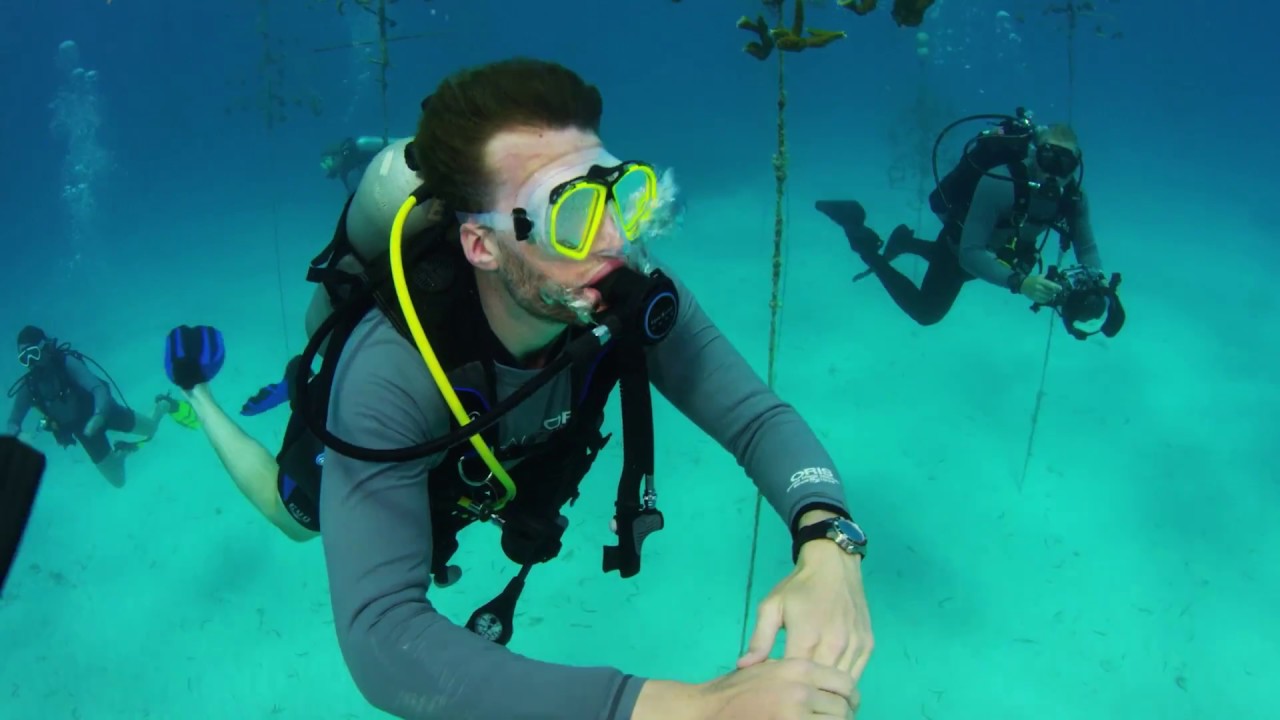 Oris Staghorn Restoration Limited Edition: Coral Restoration in the Florida Keys (2017)