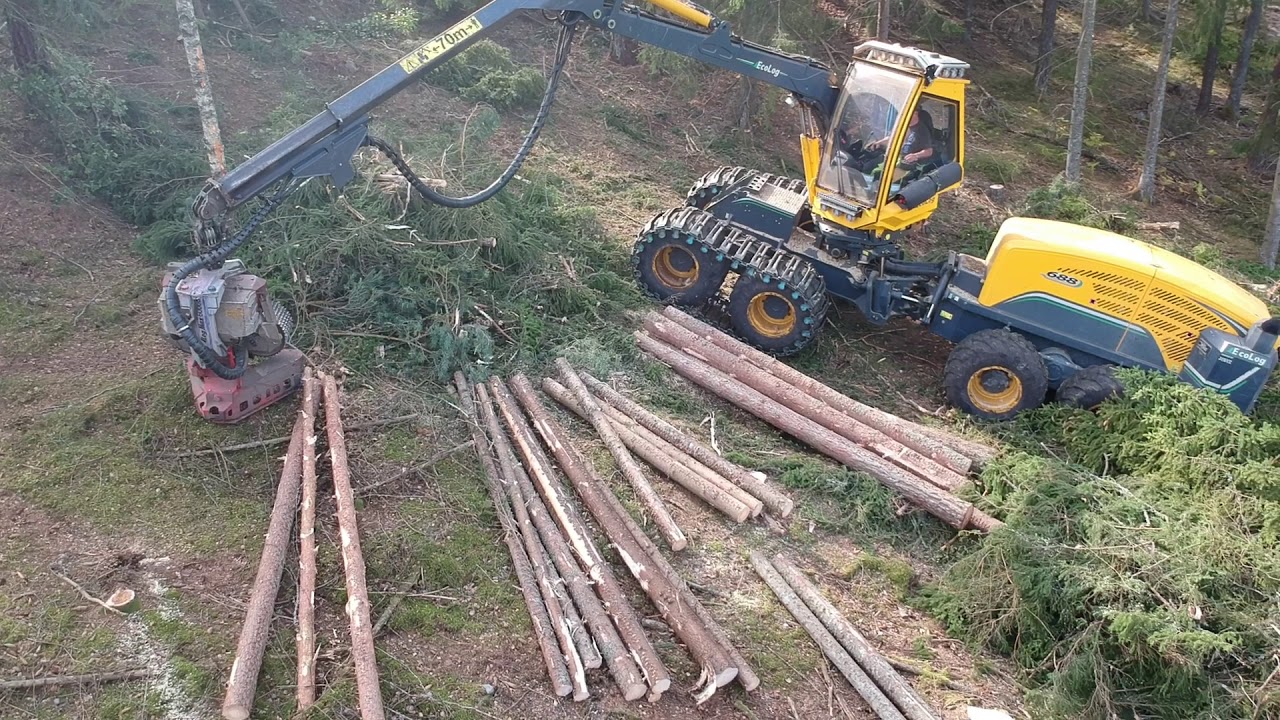 A. Gustavssons Gräv & Skog AB EcoLog 688 Steephunter