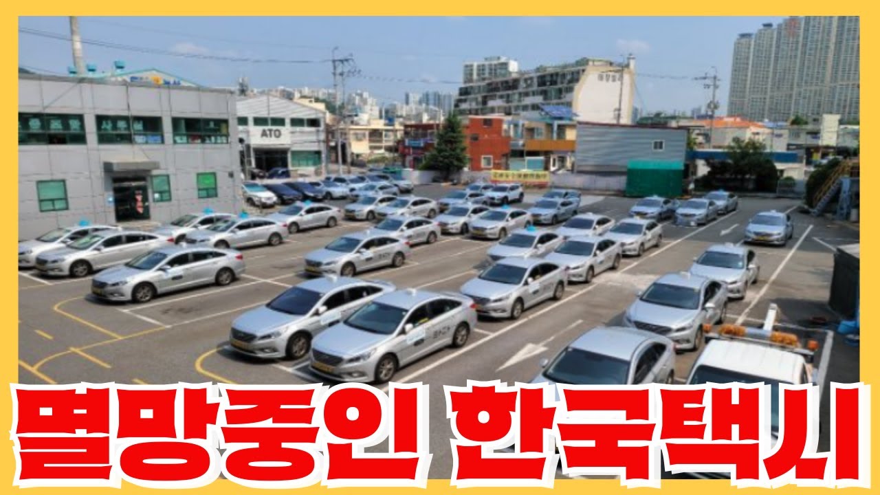택시의 70%가 운행을 멈추고 도미노 폐업이 시작 - 대한민국 택시의 몰락