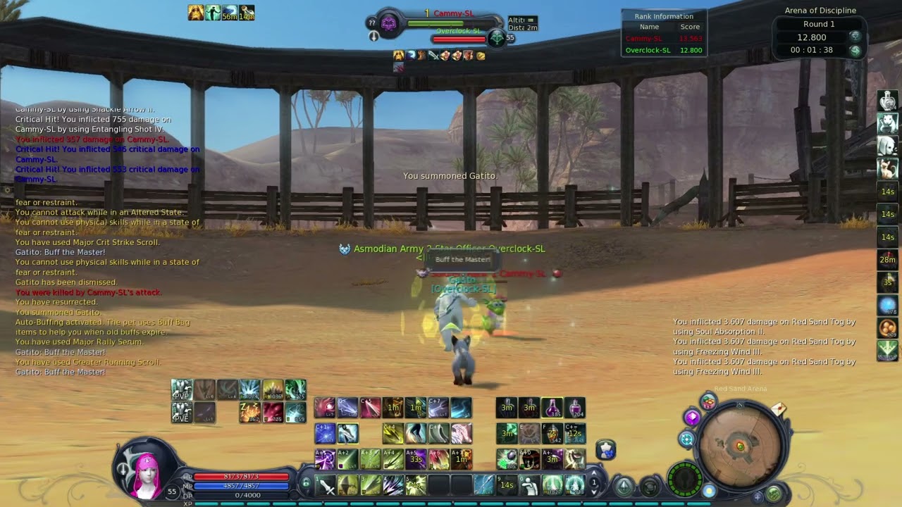 Ranger Vs Sorc AION CLASSIC NA AOD