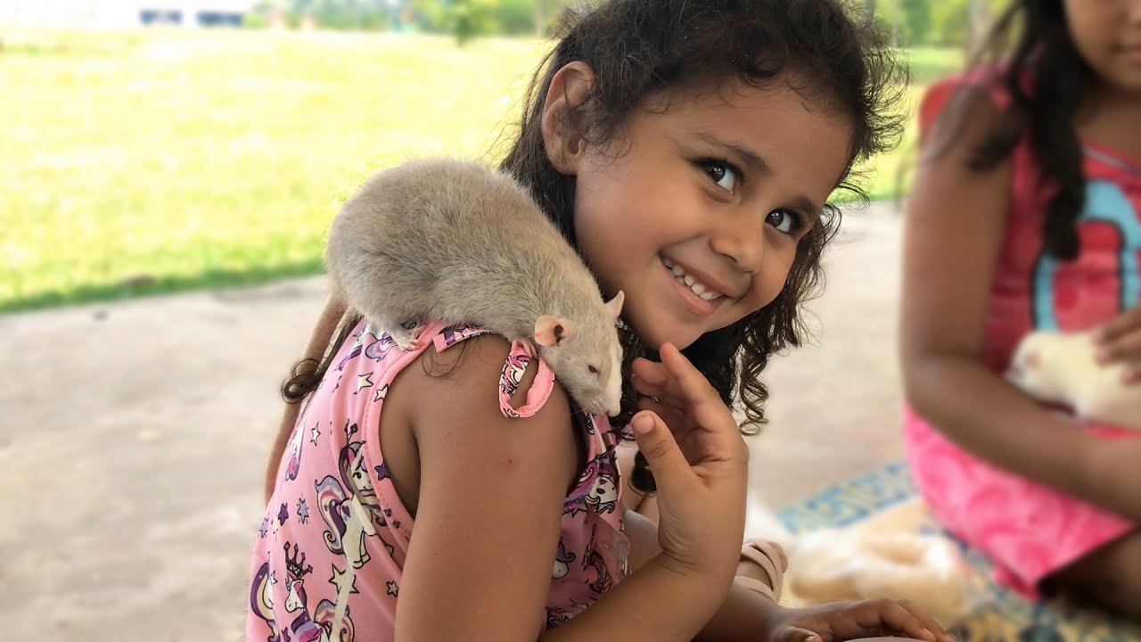 Encontro dos Ratos 2018