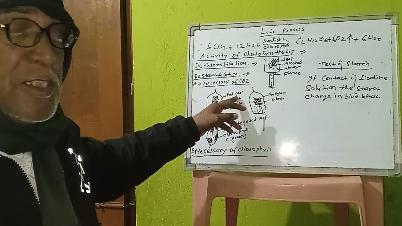 #activity_of_photosynthesis #lifeprocess#class10bio