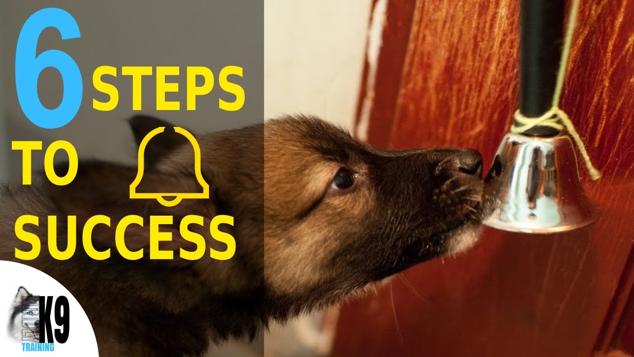 How To Teach Your Puppy To Ring A Bell To Go Outside - Puppy Potty Training