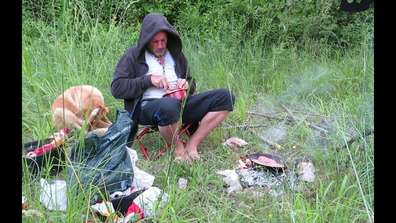 🐕🚲🌿 Voyage en Vélo avec mon Chien 3/6