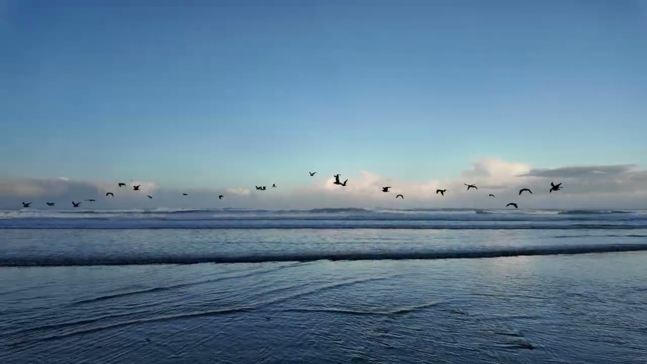 Pacific ocean walk in Autumn #1 — 17th Oct 2024