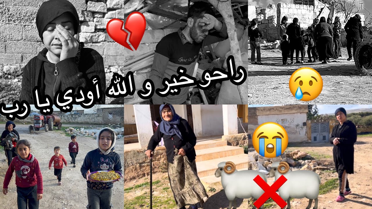‏اليوم ضاعت خروفنا ما لقيناها ‏🐏😭ما خليناها كل بيعة الحمد لله كل شيء ￼￼￼💔🥺