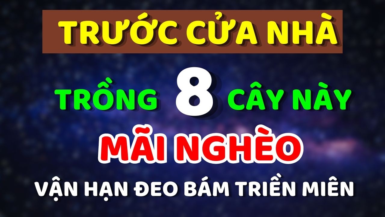 Đừng Dại Trồng 8 Cây Này Trước Cửa Nhà, Kẻo Nghèo Mạt Kiếp, Vận Hạn Đeo Bám, Ốm Đau Triền Miên