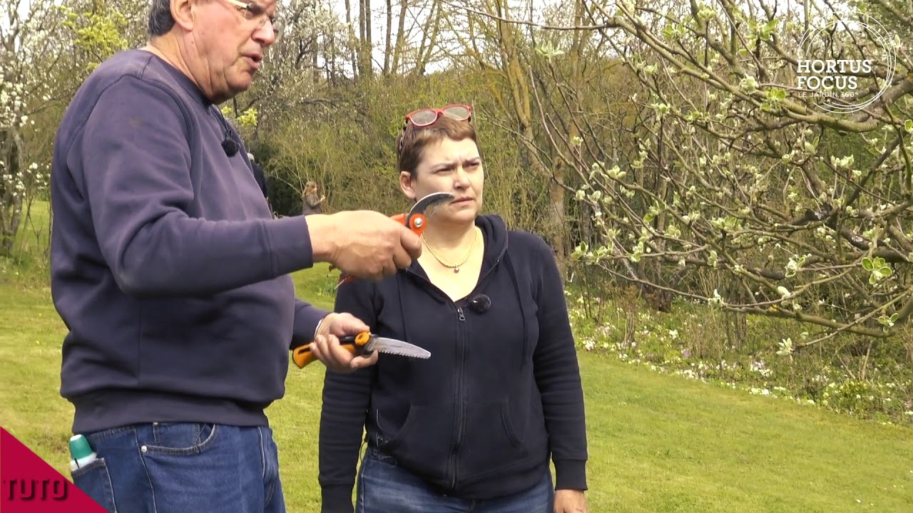 Tutos jardin : la taille des pommiers
