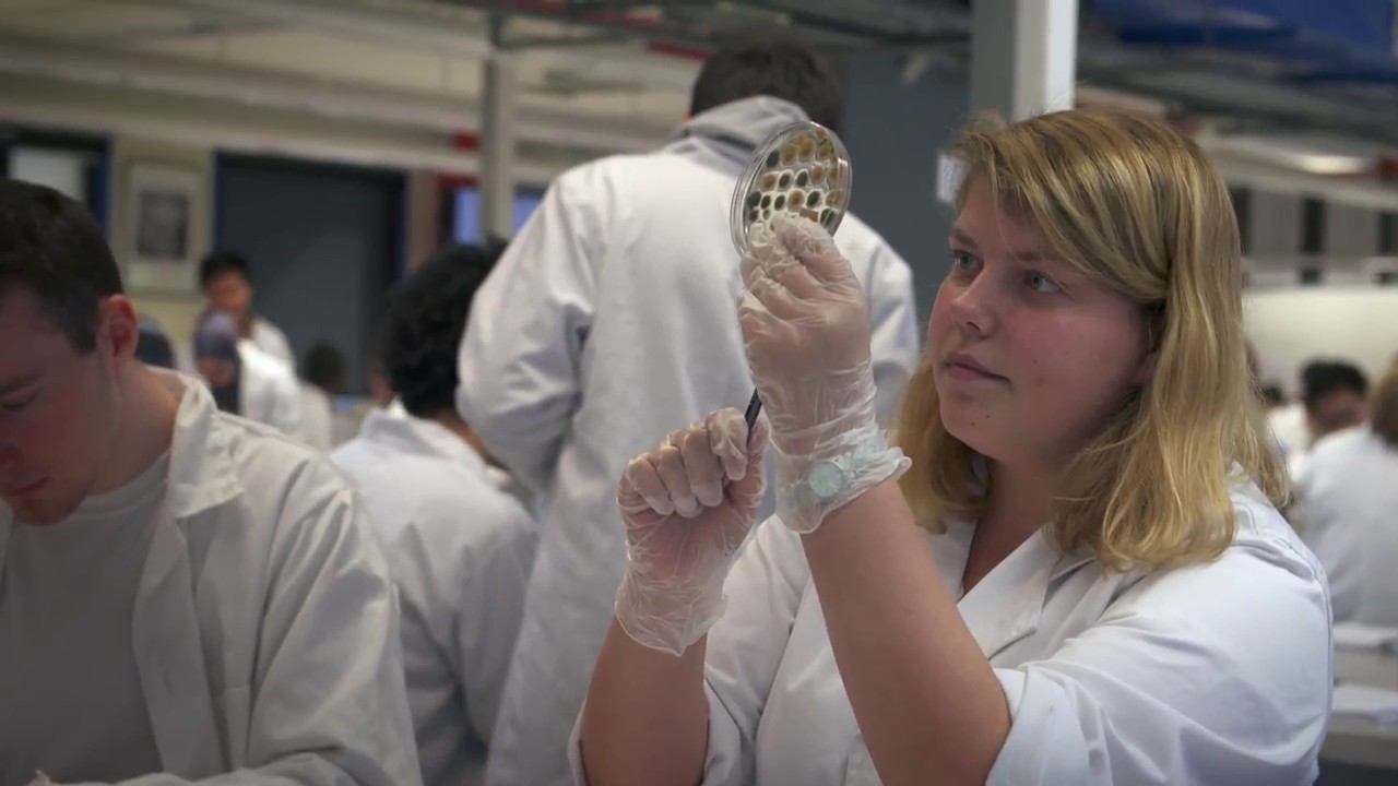 Study the Master of Biotechnology at the University of Melbourne