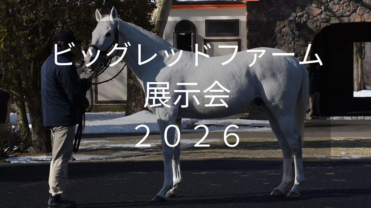 【ビッグレッドファーム展示会2026】ゴールドシップやダノンザキッドなど4頭が登場！