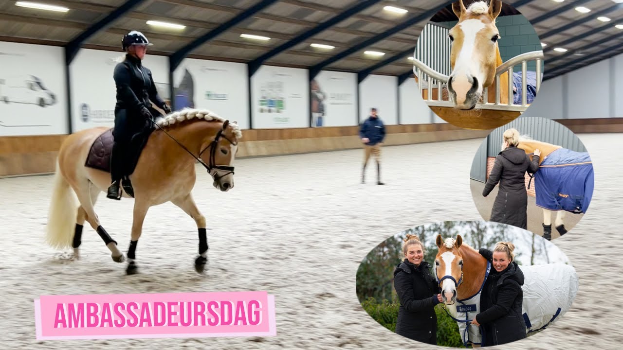 CLINIC VAN RIEN VAN DER SCHAFT MET XANTHÓ | Haflingers King & Beau