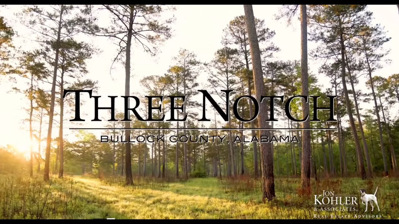 Three Notch