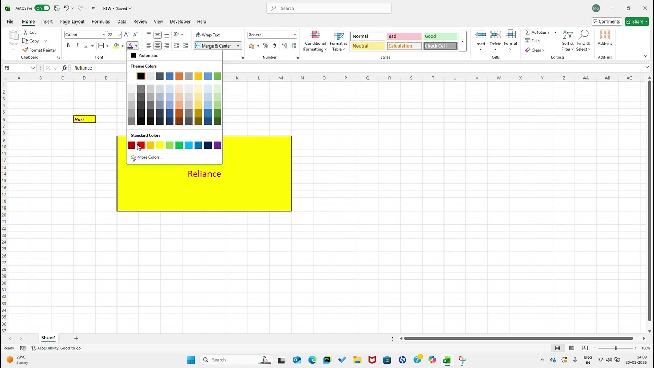 Excel Basics For Beginners | Excel Pahla Class