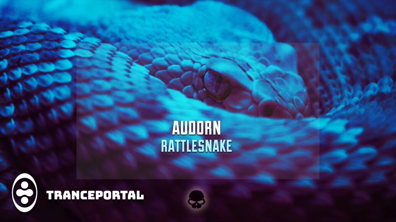Audorn - Rattlesnake [Skullduggery]