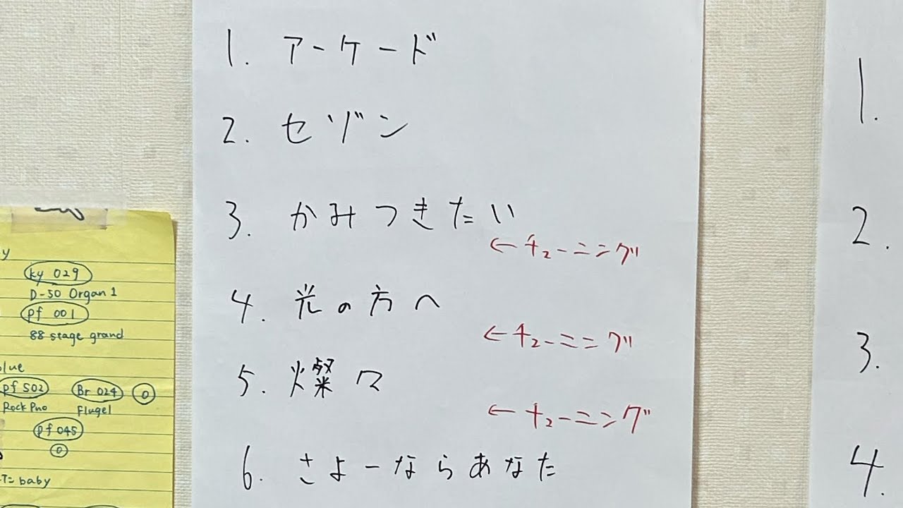 カネコアヤノ　コピー