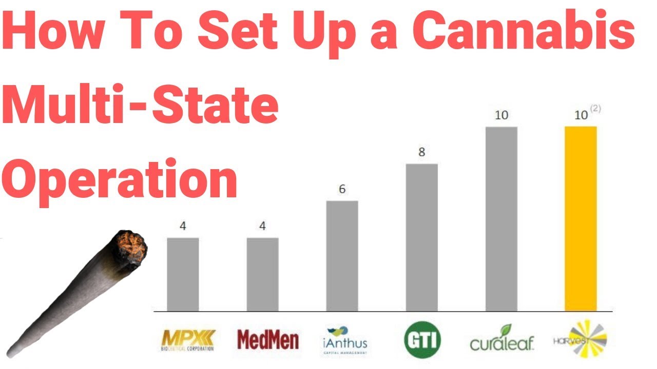 Ins & Outs of a Multi-State Operator (MSO)