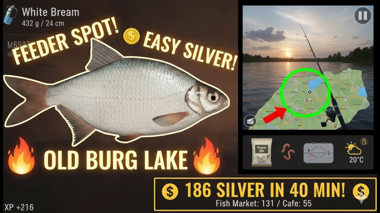🎣 RF4 White Bream GOLDMINE! 🐟 Old Burg Feeder Spot (186 Silver/40min!)