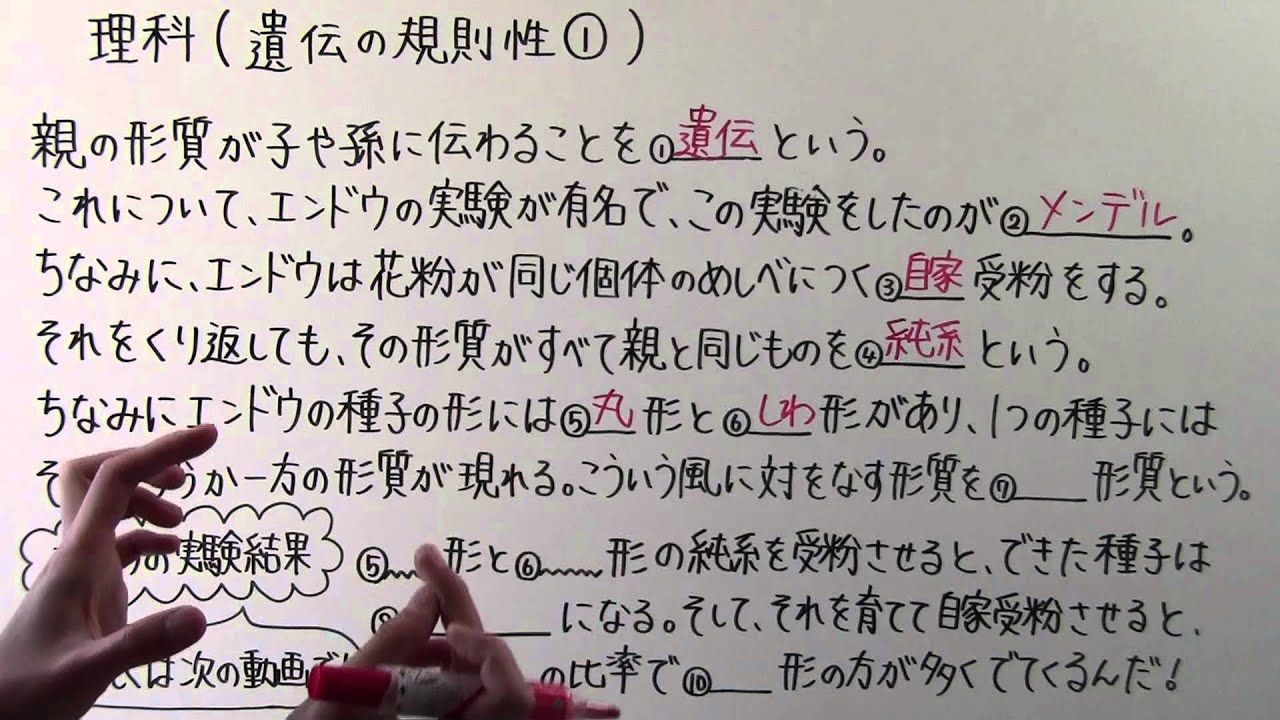 【理科】中3-18 遺伝の規則性①