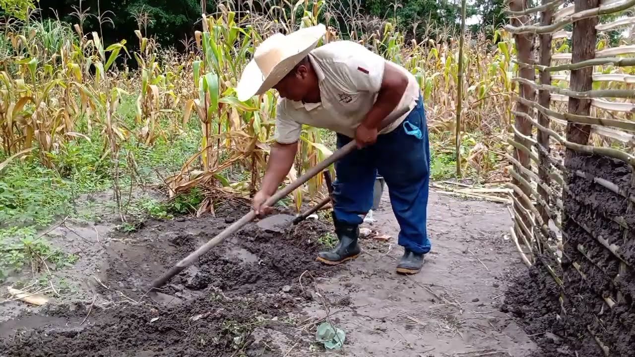 como fazer uma casa 🏠 de Taipa na Roça Simples e barato